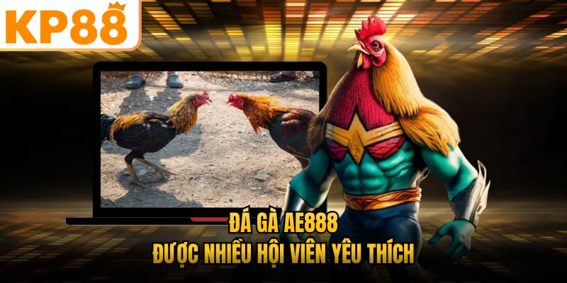 Đá gà AE888 được nhiều hội viên yêu thích